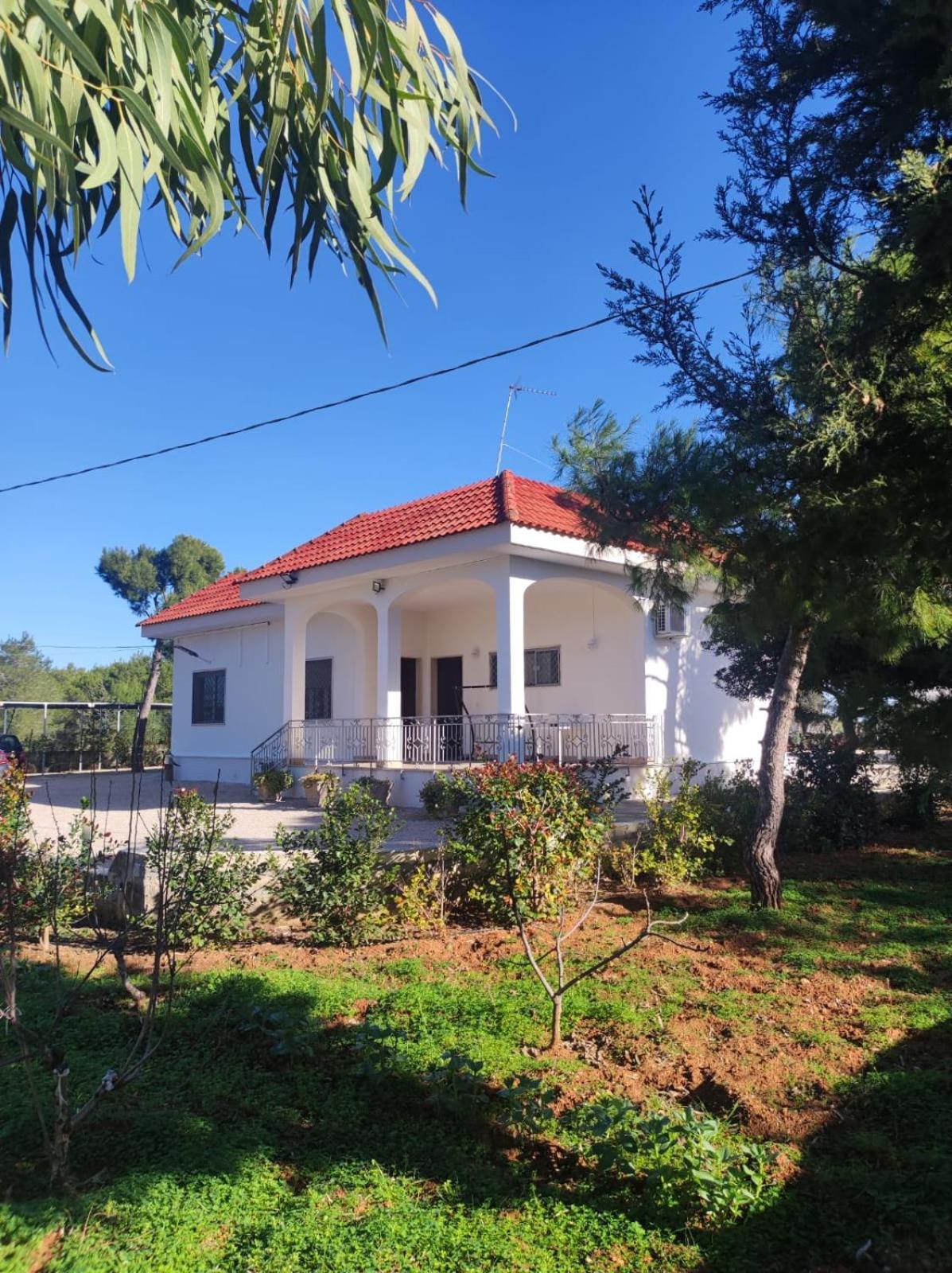 B&B Villa Vittorio Galatone Exterior foto
